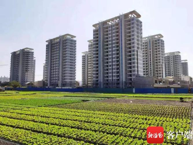 三亚亚沙村项目喜获海南省建筑施工优质结构工程奖